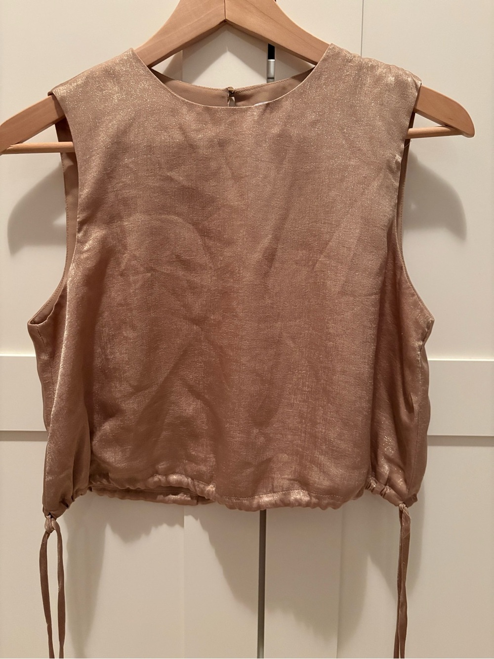 Lucy Paris Shimmery Champagne-Tone Sleeveless Crop Tank